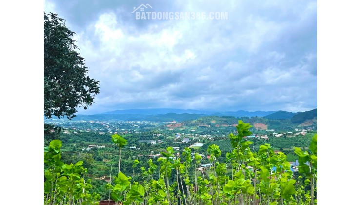 Cần Bán Đất Nam Ban 5.539m², 200m² Thổ Cư, View Toàn Cảnh Từ Trên Cao